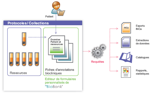 Les fiches d'annotations clinico-biologique de TDBioBank, un outil puissant pour valoriser les collections d'échantillons biologiques des biobanques et Centres de Ressources Biologiques (CRB)